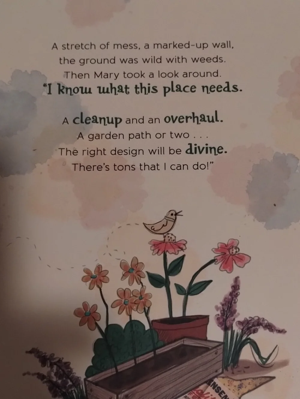 Mary Had a Little Plan NEW Book